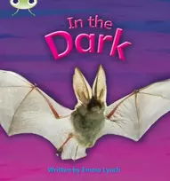 KNYGA Emma Lynch Bug Club Phonics - Phase 3 Unit 10: In the Dark