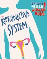 KNYGA Sonya Newland Bright and Bold Human Body: The Reproductive System