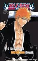 KNYGA Bookshop Bleach SOULs. Official Character Book