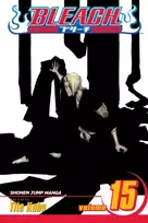 KNYGA Tite Kubo Bleach, Vol. 15