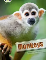 KNYGA Jo Windsor Bug Club Guided Non Fiction Year 3 Baltas A Monkeys