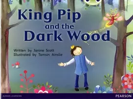 KNYGA Janine Scott Bug Club Guided Fiction Reception Raudona B King Pip and the Dark Wood