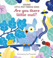 KNYGA Sam Taplin Are you there little Owl?