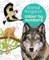 KNYGA Martin Illustrator Sanders Animal Kingdom Colour by Numbers