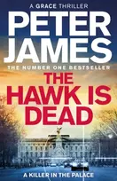 KNYGA Peter James Untitled Roy Grace Book 21