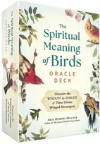 KNYGA Arin Murphy Hiscock Spiritual Meaning of Birds Oracle Deck