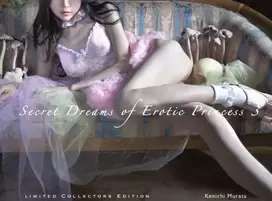 KNYGA Bookshop Secret Dreams of Erotic Princess 3