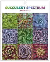 KNYGA Bookshop Succulent Spectrum Magnet Set