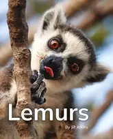 KNYGA Bookshop Lemurs