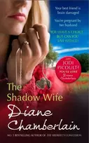 KNYGA Diane Chamberlain Shadow Wife