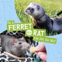KNYGA Cara Krenn Is a Ferret or a Rat the Pet for Me?