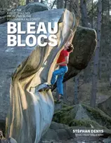 KNYGA Stphan Denys Bleau Blocs