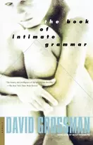 KNYGA David Grossman Book of Intimate Grammar