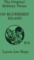 KNYGA Laura Lee Hope Bobbsey Twins on Blueberry Island