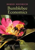 KNYGA Bookshop Bumblebee Economics