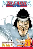 KNYGA Tite Kubo Bleach, Vol. 28