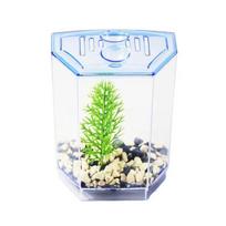 Skaidrus plastikinis žuvytės Betta akvariumas su vandens augalais Dvigubos grotelės Betta izoliacijos dėžutė Vienos/dvigubos grotelės Betta izoliacijos dėžutė