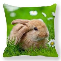 Home decoration bedroom bedside pillow cover living room sofa chair cushion cover x 30x30cm