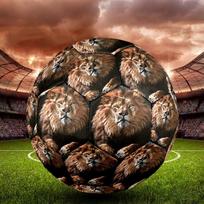 3D Lion Indoor Soccer Ball Size 5 Colorful All Ages Machine Stitched PVC Competition Ready Durable High-Bounce