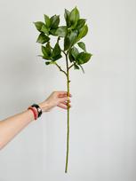 Decorative Artificial Ficus Plants for Home Decor Fake Greenery With Long Branches for Interior Aesthetics brown