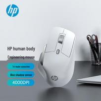 HP Professor 1 Wireless Ergonomic Mouse