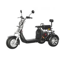 Vokietijos sandėlis 3 ratų elektriniai motociklai suaugusiems Elektrinis motociklas 2000w Elektrinis sportinis motociklas