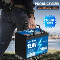 DATOUBOSS MFUZOP Ukraina Lenkija Sandėlyje 12V 100Ah LiFePO4 Ličio Jonų Ličio Jonų Baterijų Paketas su BMS 12 V 100 Ah