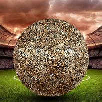Leopard Pattern Indoor Soccer Ball Size 5 Colorful All Ages Machine Stitched PVC Competition Ready Durable High-Bounce