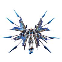 Mobile Suit Gundam SEED Destiny RG Strike Freedom Gundam Expansion Effect Unit of the 1/144  Wings Sky