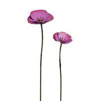 2Pcs Metal Flowers for Outside, Decorative Garden Stakes, Flower Bed Decor Plant Stakes, Metal Art for Outside, Outdoor Yard Art for Lawn Yard Walkway šviesiai violetinė spalva