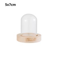 Namų dekoras Skaidrus butelis Terariumo stiklainis Stiklinis gaubtas Dėžutė gėlėms laikyti Medinis pagrindas Apsauginis dangtelis nuo dulkių 5x7cm