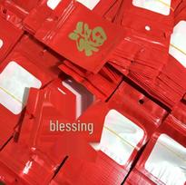 Bing Ma Year Fortune & Wealth Pixiu Golden Jubilee Zodiac Charms red