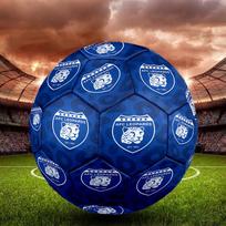 AFC Leopards Indoor Soccer Ball Size 5 Colorful All Ages Machine Stitched PVC Competition Ready Durable High-Bounce