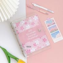 Cross-Border PVC 100-Day Savings Challenge Budget Planner
