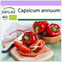 SAFLAX – Ekologiški – Saldžiosios paprikos – California Wonder Red – 20 sėklų – Capsicum annuum