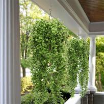 2pcs Aritificial Green Plants,  Mesh Ground Leaves, Vine, Home Decoration, Hanging, Winding Vine, Artificial Flower One Size