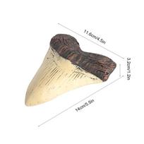 Shark Teeth Model 5 inch Giant Megalodon Tooth Easy Clean Shark Tooth Replica Marine Bology Teaching Props Teeth Fossil Gifts