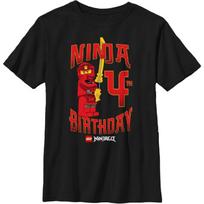 Fifth Sun Kids' Lego Ninjago Ninja Birthday 4 Boys Short Sleeve Tee Shirt S įvairiaspalvis