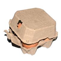 10 Pack Egg Carton Paper Pulp Egg Tray Container for Chicken Eggs Packaging Eco Friendly Recyclable Material Durable Storage Box One Size beige