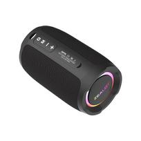 Outdoor Latest Wireless Karaoke Speaker Stereo Speaker 10W Powerful Wireless Speaker Zealot S49