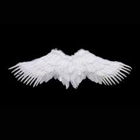 High Quaity Lightweight Angel Wings Foldable Realistic Black Devil Wings Unisex Cosplay Accessories