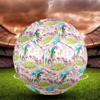 Beautiful Uni-horse Indoor Soccer Ball Size 5 Colorful All Ages Machine Stitched PVC Competition Ready Durable High-Bounce