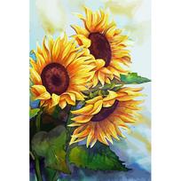 11CT Kryželiu Siuvinėjimo Rinkinys Gėlių Rašto Siuvinėjimo Amatai PASIDARYK pats Menas 30x40cm Namų Puošyba Sienos Menas brown