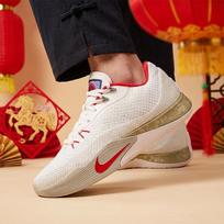 Nike Men's S.T. FLARE Year of the Horse Limited Edition Basketball Shoes 40