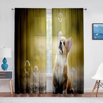 Corgi In The Flower Field Puppy Dog Sheer Curtains Window Treatment for Kitchen Living Room Bedroom Decor Modern Tulle Curtains 1 PCS W100XH250cm&Rod Pocket