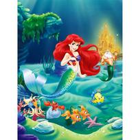 Disney Undinėlė Arielė Vandenyno Kolekcija 5D Deimantinė Tapyba Pilna Deimantų Pasidaryk Pats Rankų Darbo Deimantinė Tapyba Animacinio Filmo Dekoro Tapybos Rinkinys Round 20x30cm red