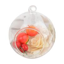 Glass Hanging Terrarium Globe with Open Front for Decorative Display Indoor Outdoor Use Suitable for Plants and Ornaments 12cm