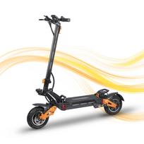 FREEBOY Dual Motor Off Road Electric Scooter 11 Inch Fat Tire Foldable Adult E Scooter US EU Warehouse Fast Shipping 250W For EU 60 V 11 Inch