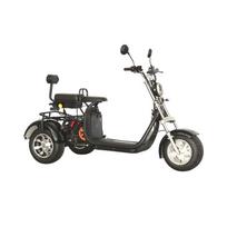 Vokietijos Sandėlis Citycoco 2000W 60V Triciklas 2000w Elektrinis Motociklas Elektrinis Visureigis Elektrinis Dviratis Motociklai