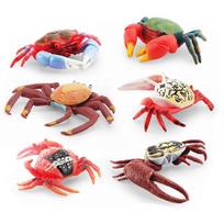 6pcs/set Realistic Crab Pvc Desktop Ornaments Lovely Educational Wild Animals Model Toy For Home Office Tabletop Ornament